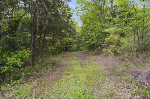 Photo 38 - Serene Escape at Table Rock Lake