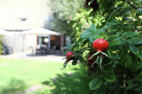 Photo 36 - Comfortable Flat Overlooking Orchards