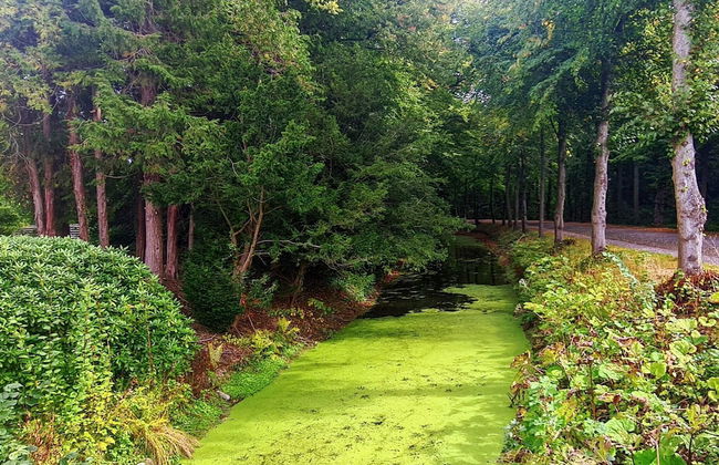 4 Person Holiday Home in Tonder-by Traum - Foto 25