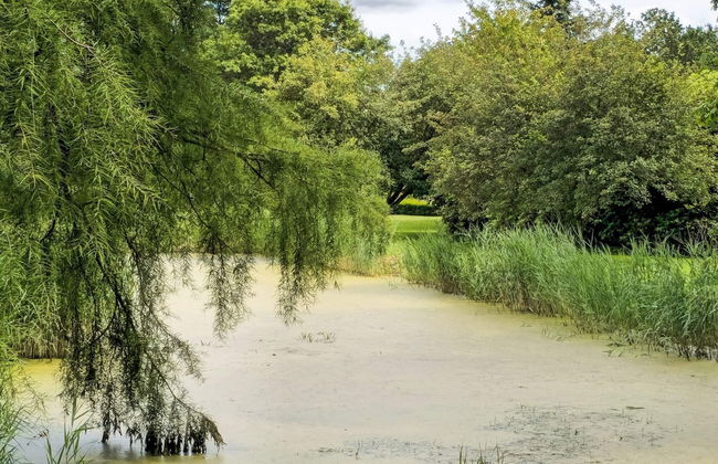 4 Person Holiday Home in Tonder-by Traum - Foto 18