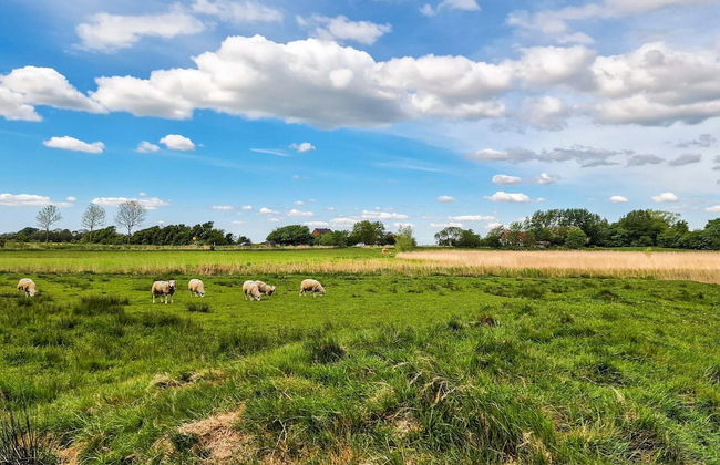 4 Person Holiday Home in Tonder-by Traum - Foto 19