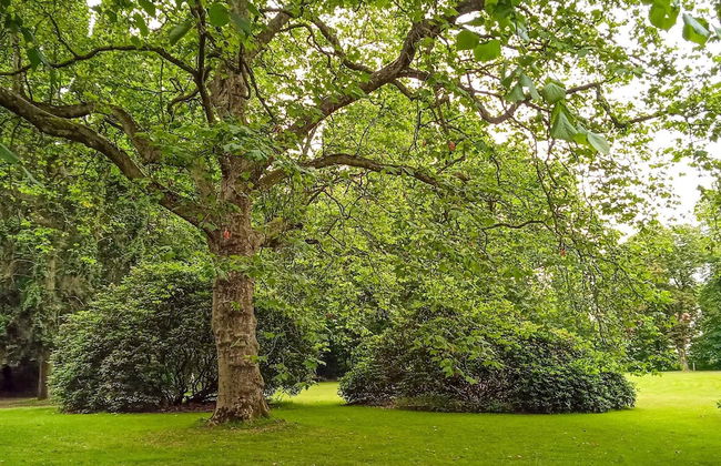 4 Person Holiday Home in Tonder-by Traum - Foto 22