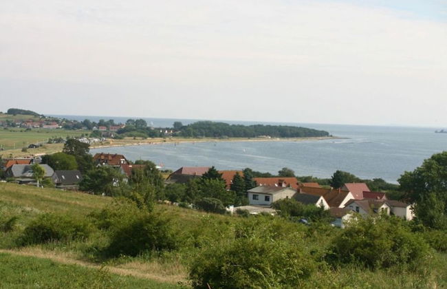 Seeschwalbe in Villa Sirene, Binz - Foto 11