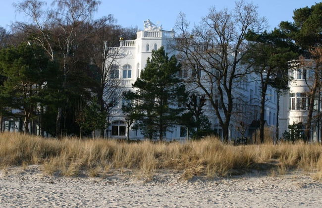 Seeschwalbe in Villa Sirene, Binz - Foto 1
