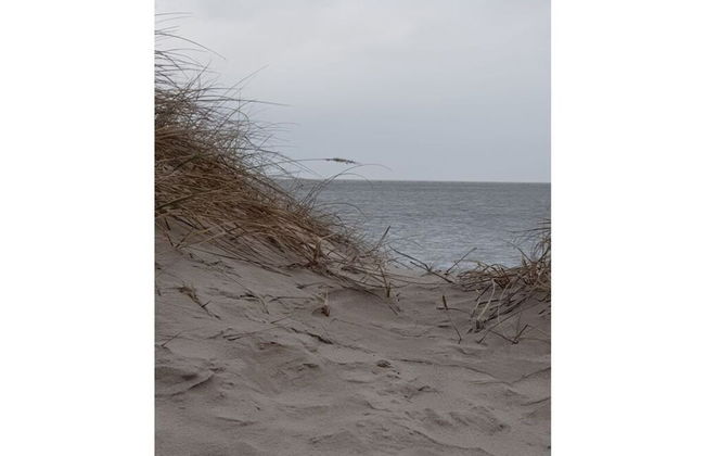 Little Seagull Modern Retreat - Foto 17