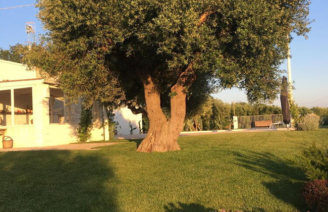 Trulli Lamascrasciola - Foto 63
