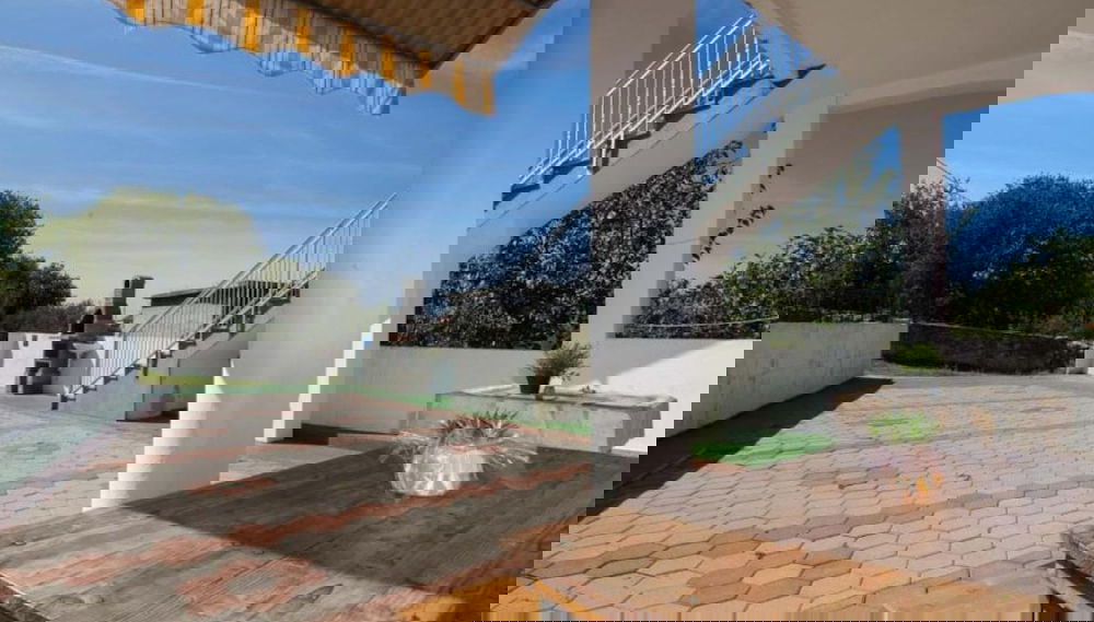 Imagem principal