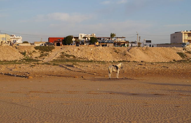 Little Beach Cottage - Foto 53