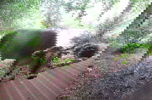 Foto 4 - Waterval in het Huis Boshoek