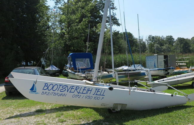 Dennenboomdroom - Foto 23
