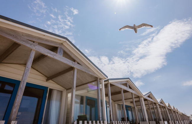 Beach House in Wijk aan Zee With Sea View - Foto 30