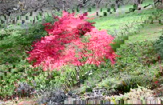 Foto 35 - Casa de 4 habitaciones en Pont-de-Larn con piscina privada y terraza