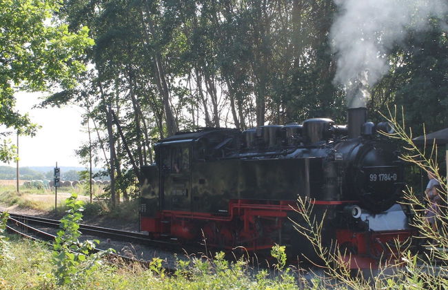 Apartment in Neu Ludershagen With Terrace - Foto 12