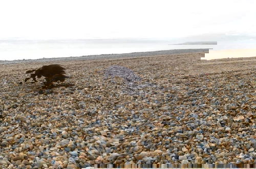 Foto 80 - Exquisite Beachfront Residence With Luxurious Interiors The Cozy Clam Pevensey Bay