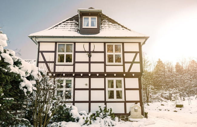 Cosy Apartment in Harz - Photo 11