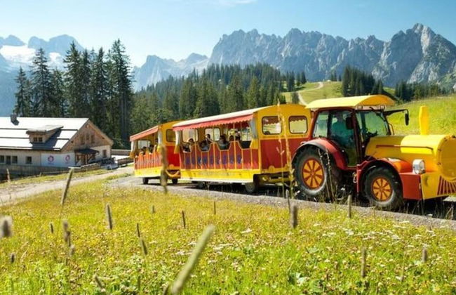 Skiblickhaus Comfortable Holiday Residence - Photo 31