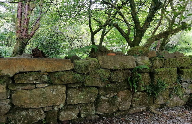 Countryside Cottage Retreat at Ty'r Cwm Farm - Foto 10