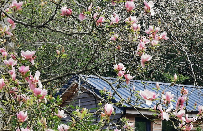 Countryside Cottage Retreat at Ty'r Cwm Farm - Foto 5