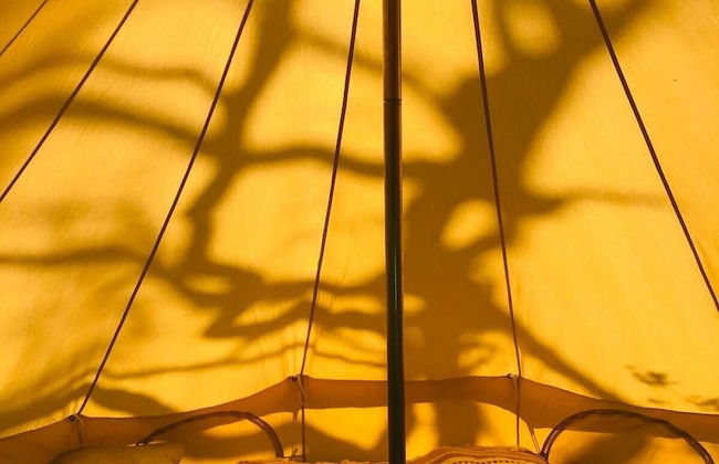 Bell Tent , Carreglwyd Estate, Anglesey - Foto 4