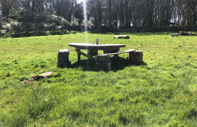 Bell Tent , Carreglwyd Estate, Anglesey - Foto 25