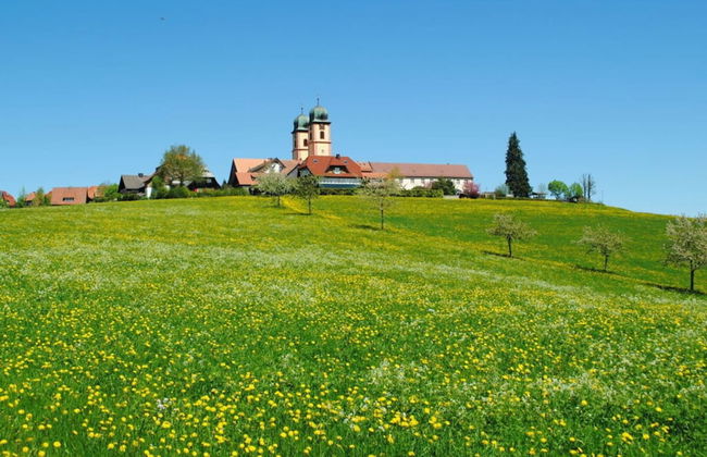 Landhuis Appartement Feldberg Uitzicht - Foto 16