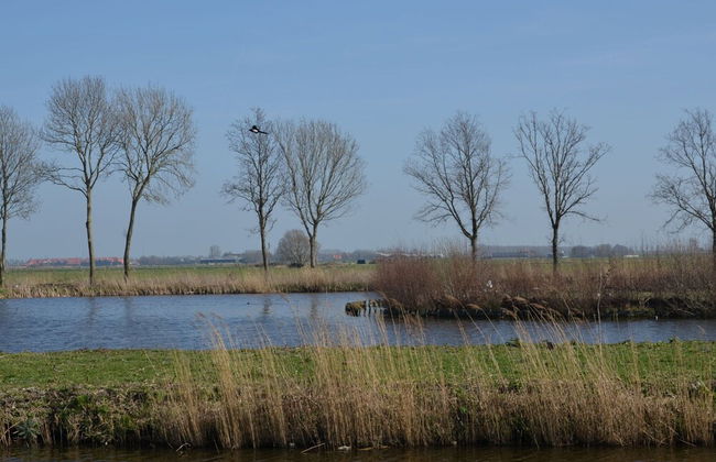Holiday Home Built in Zaanse Style, Near Alkmaar - Foto 33