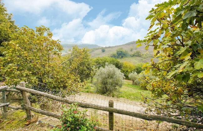 Villa in Sermugnano With Pool & Garden - Foto 39