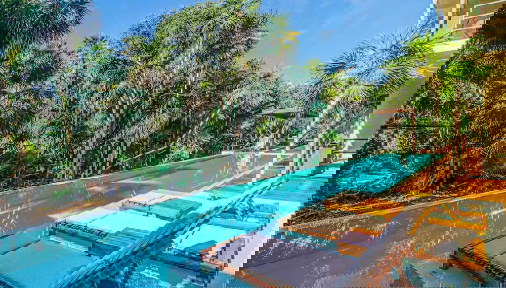 Image principale