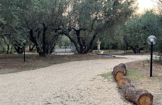 Domus Tuscia - Foto 22