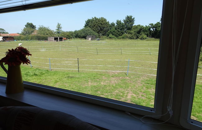Equestrian Retreat - Sleeps 6 & Bbq - Foto 26