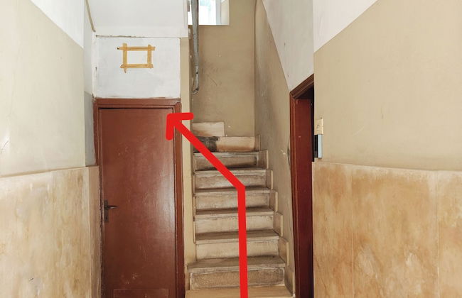 Crystal Domus - Foto 43