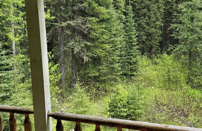 Rustic Beaverfoot Lodge Executive Cabin - Foto 17