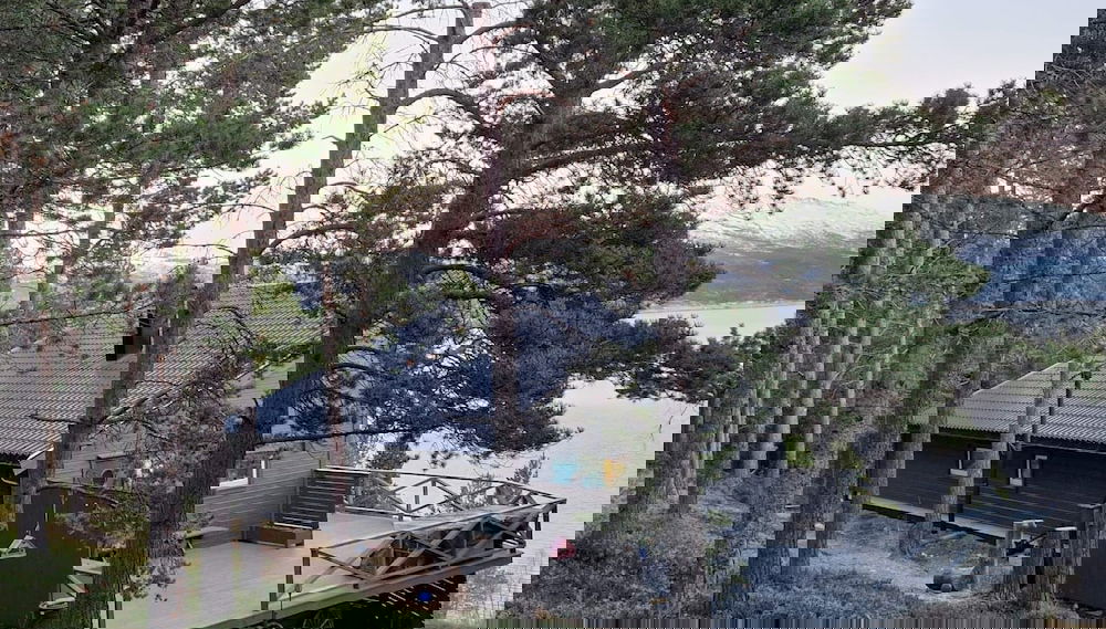 Primary image