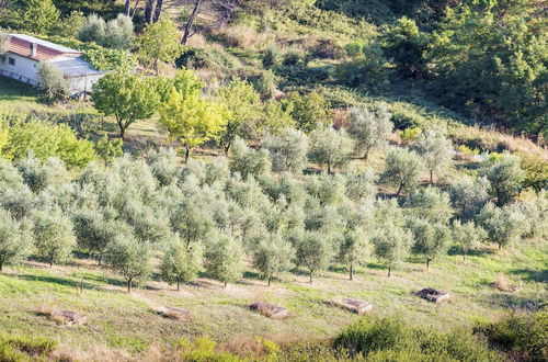 Photo 29 - Appartamento Ciliegia Shared Pool