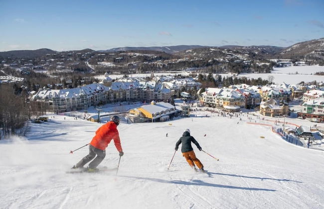 Station Farmhouse Tremblant - Foto 43