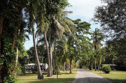 Photo 56 - Daintree Beach Resort