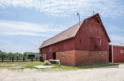 Photo 23 - Saint Lad's Heritage Farm