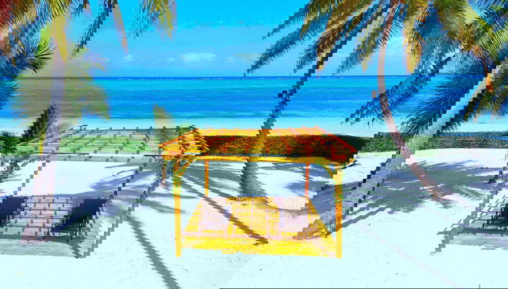 Imagem principal