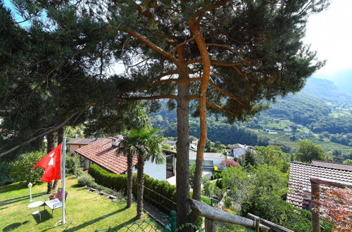 Photo 24 - Villa Delle Rose