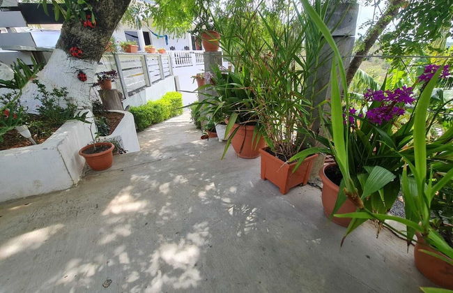 Casa Colibri - Photo 21