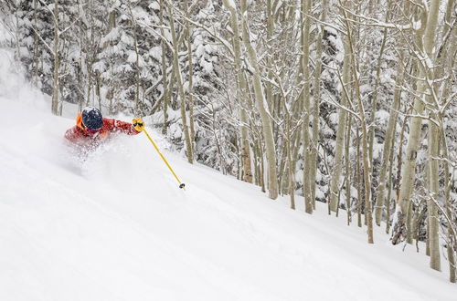 Photo 58 - Owl Creek Snowmass By Frias