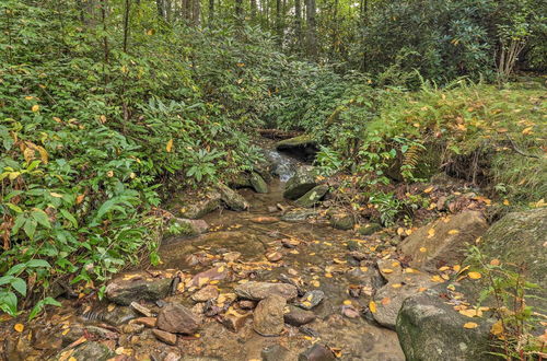 Photo 24 - Creekside Mtn Retreat by Waterfalls & Hiking