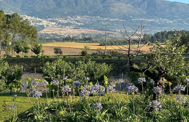 Laje da Bica Agroturismo - Foto 59