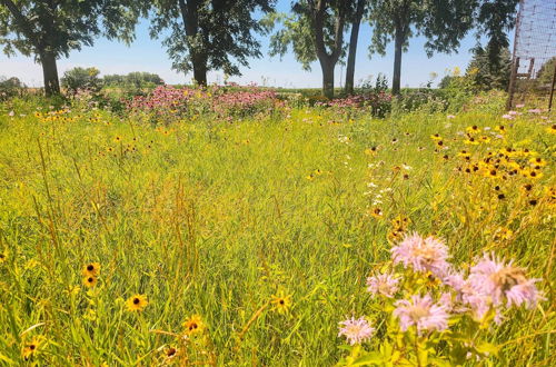 Photo 39 - Large Historic Farmhouse on 200 Acres w/ Wifi