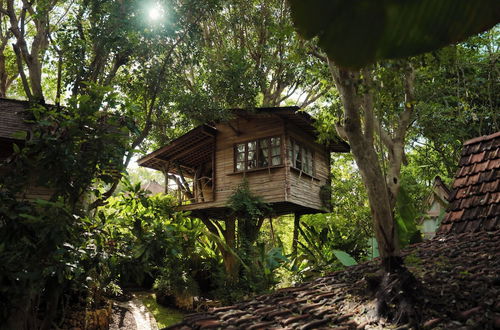 Photo 1 - Roots Tree House