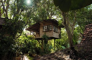 Photo 1 - Roots Tree House
