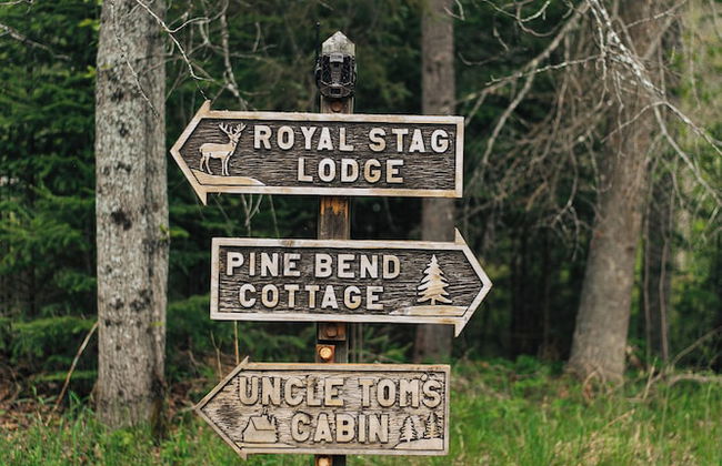 Grayling Gem Royal Stag Lodge - Photo 47