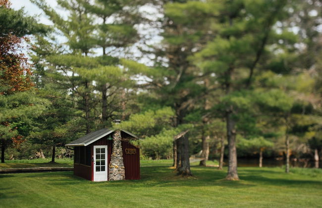 Grayling Gem Royal Stag Lodge - Photo 53