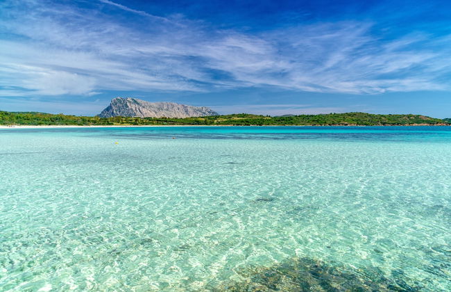 Residenze Gallura - Photo 31