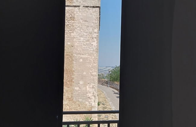 Naro - Foto 5